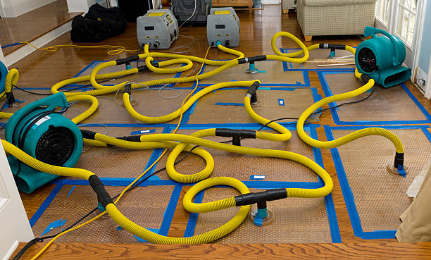 Professional Burst Pipe Water Damage technician working in Wickliffe, OH